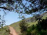 Mt Tamalpais SP 02